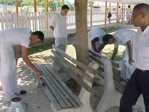  Asdan students painting benches for Earth Day