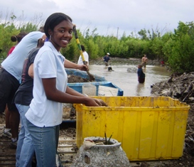 Chantal - Community JGR helps with the Mangroves