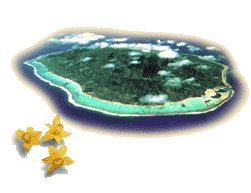 Coral Reef Island