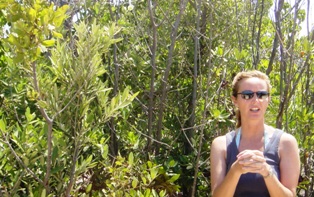 - marnie_white_black_mangroves_small
