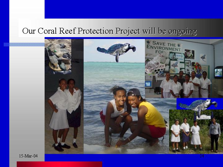  Our Coral Preservation work is ongoing