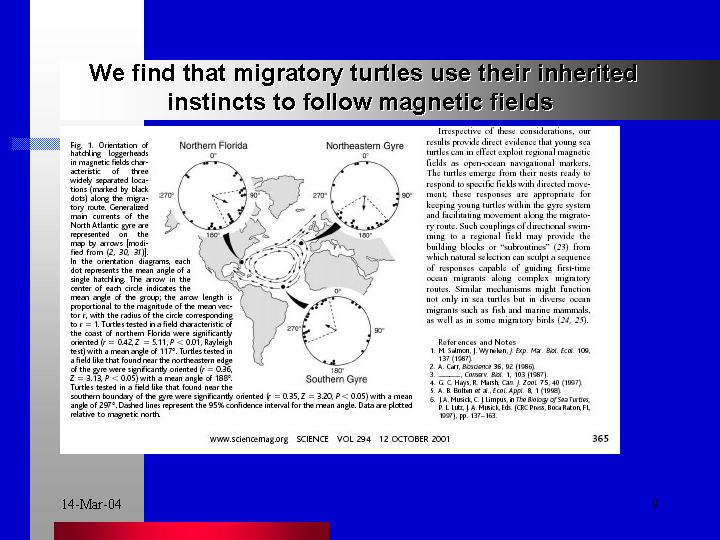  Turtles inbuilt magnetic fields