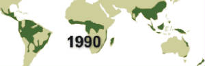 Areas of Rainforest in 1990