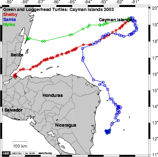  Combined Cayman Turtle Migration