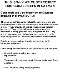 Coral Reef Advice from our 1998 Year of the Oceans Project.  Information courtesy of CI Department of Environment