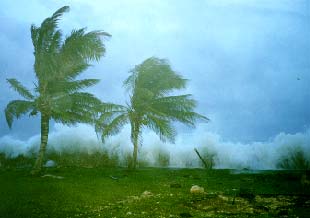  Hurricane Mitch Ocean Club Grand Cayman
